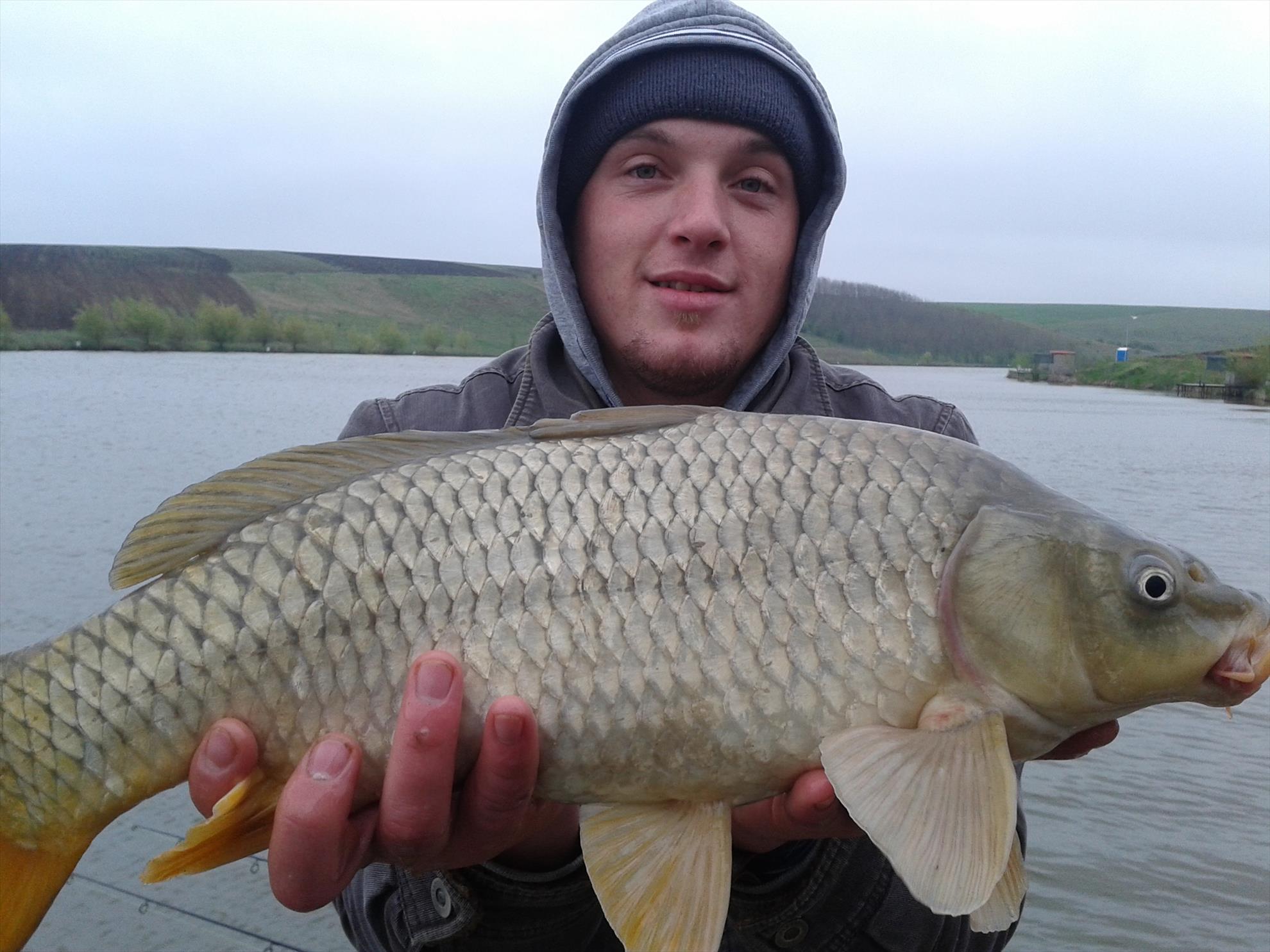 cateva capturi - 20140417075619.jpg